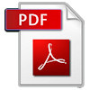 pdf icon