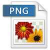 png icon